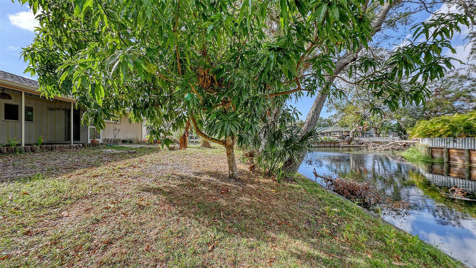 Property Photo:  4069 Tern Street  FL 34232 