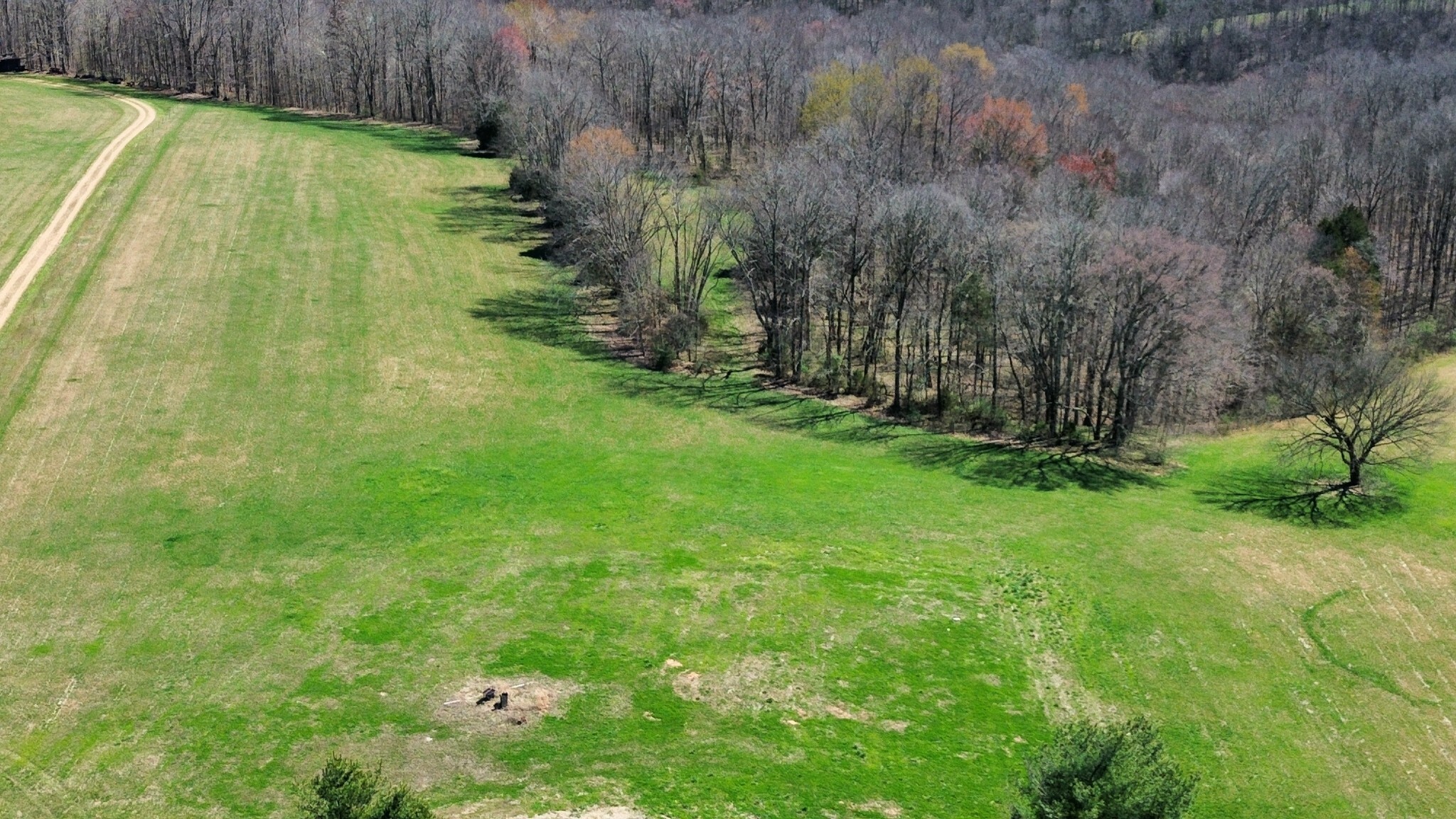 Property Photo:  11024 Galen Rd  TN 37083 