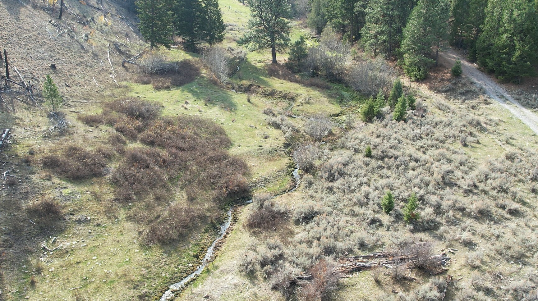 Property Photo:  1 Tract, Bull Elk  MT 59832 