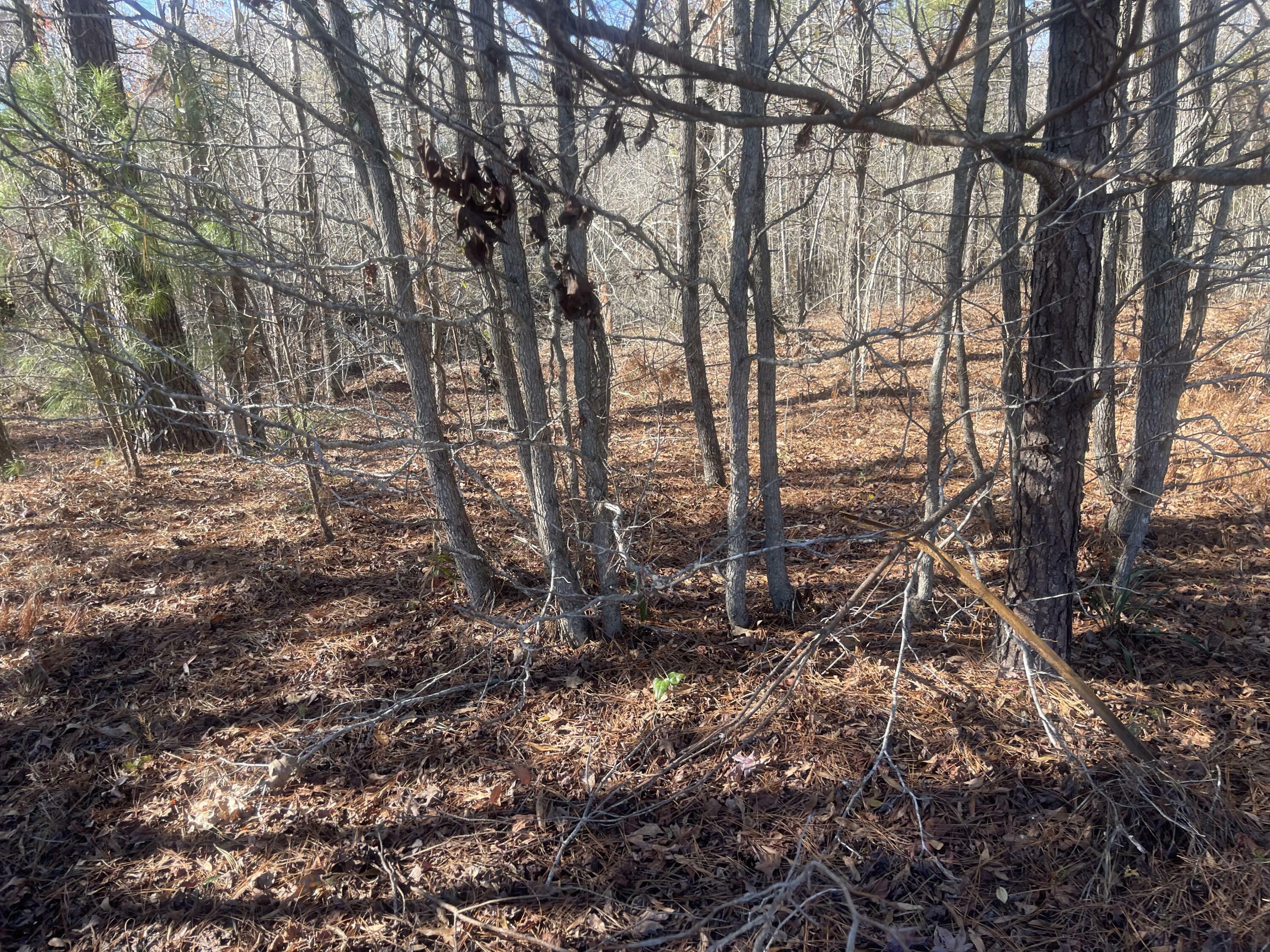 Property Photo:  Lot 8 Black Pearl Drive  GA 30828 