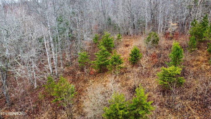 Property Photo:  0 Rock House Rd  TN 37847