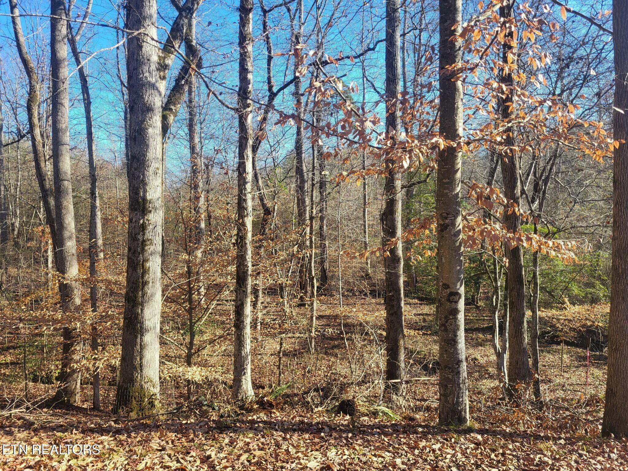 Property Photo:  Mariners Cove Lot 95  TN 37854 