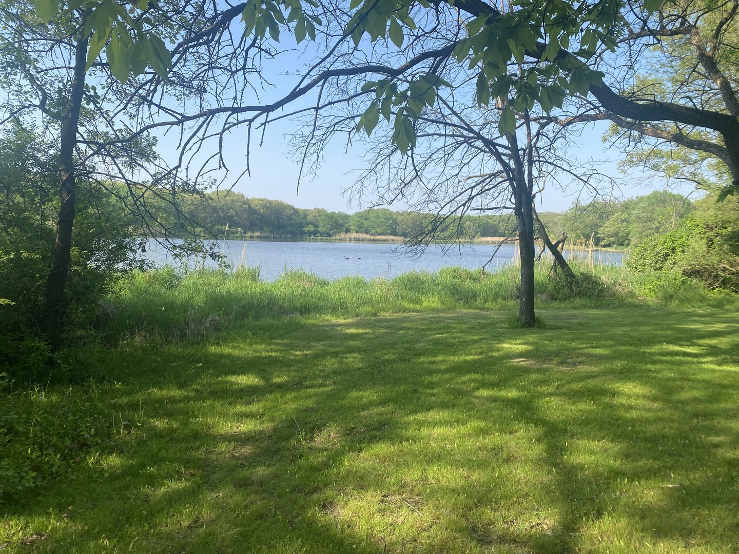 Property Photo: 1903 Richton Road IL 60475