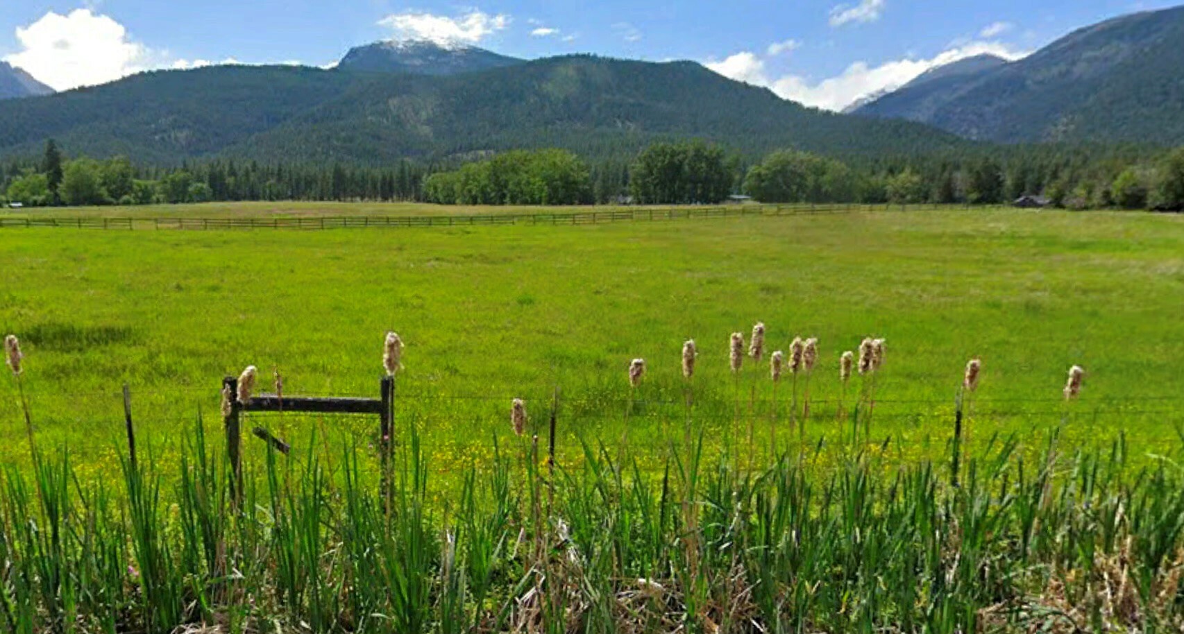 Nhn Sweeney Creek Loop  Florence MT 59833 photo