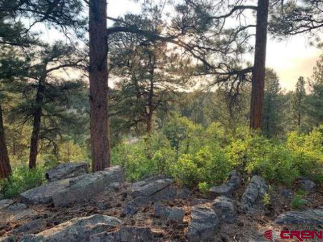 Property Photo:  199 Meadow Lane  CO 81432 