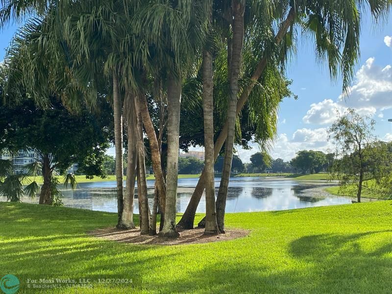 Property Photo:  3051 N Course Dr 104  FL 33069 