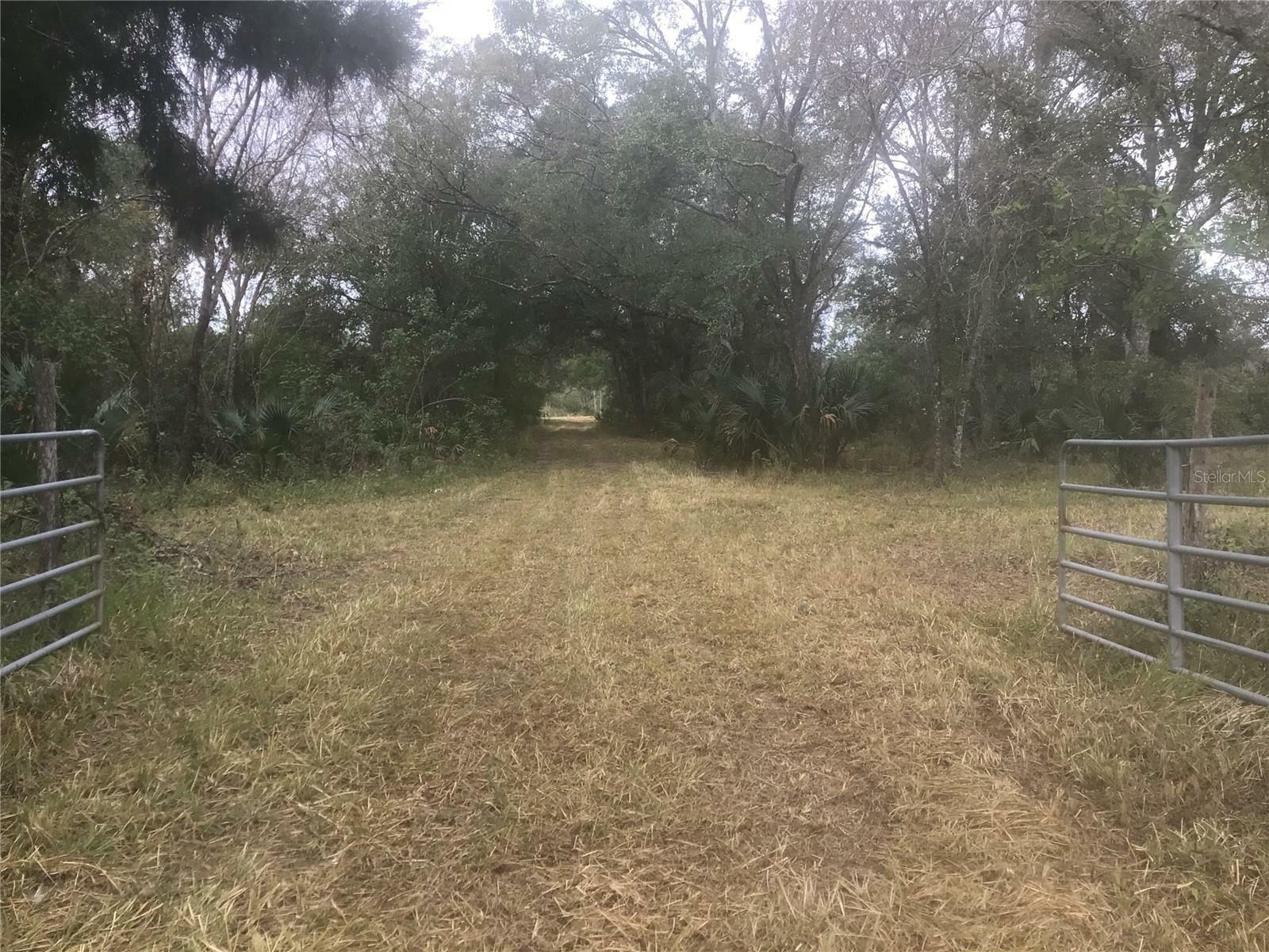 Property Photo: 0 E Irlo Bronson Memorial Highway FL 34773