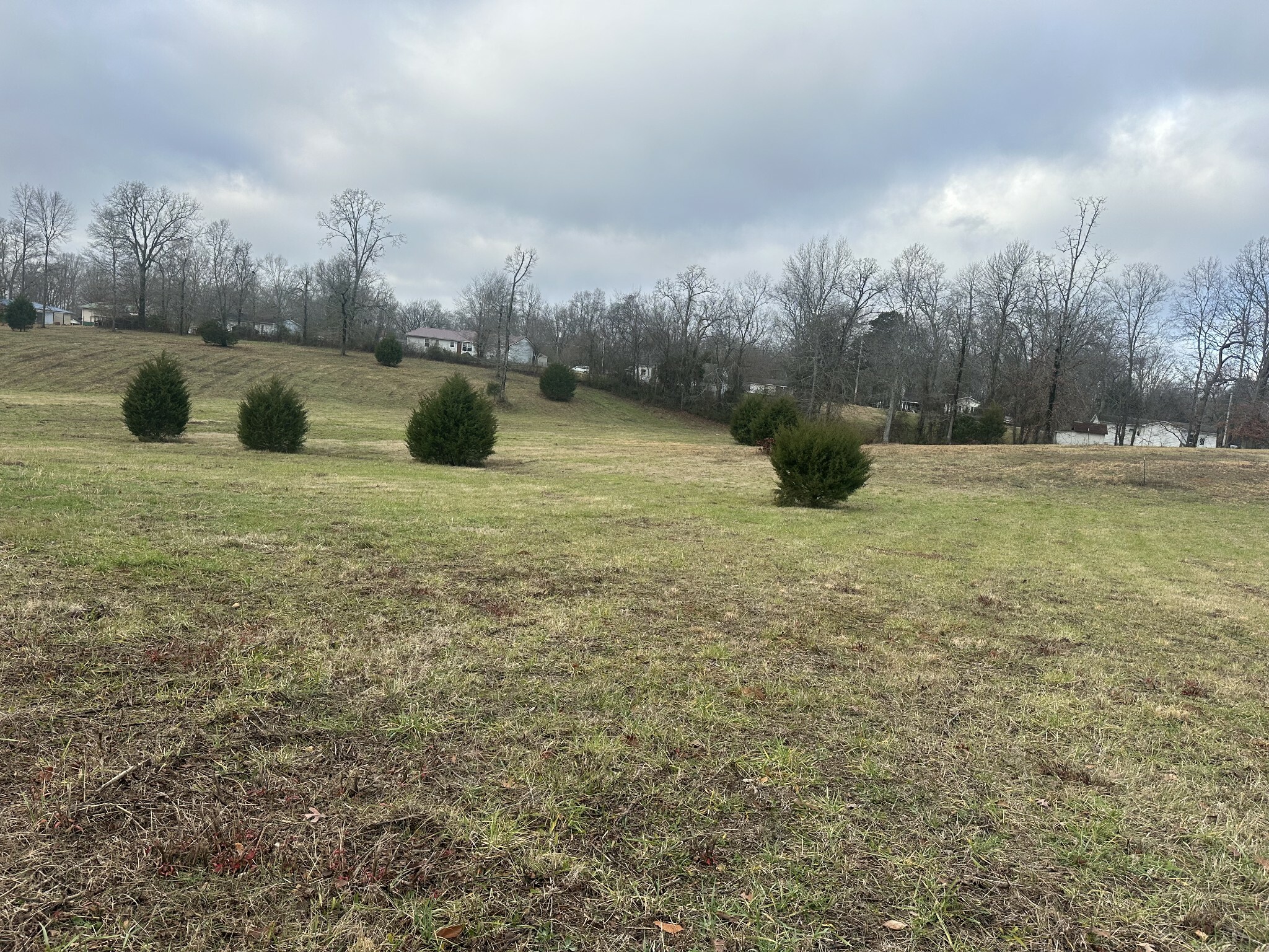 Property Photo:  0 Woodland Drive  TN 38464 