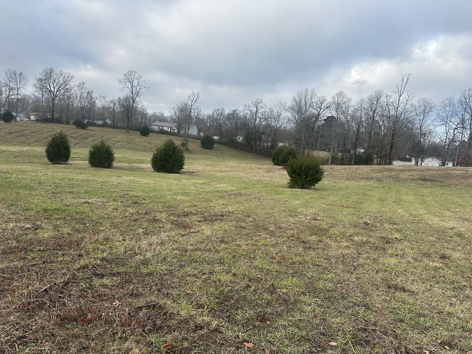 Property Photo: 0 Woodland Ave TN 38464
