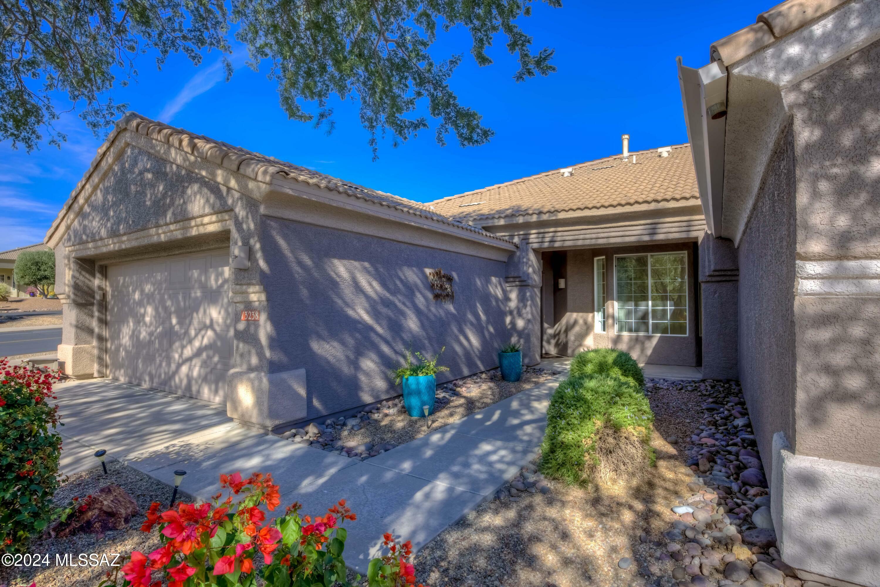 Property Photo:  13238 N Silver Cholla Place  AZ 85658 