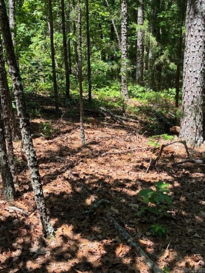 Property Photo:  Castano (Lot 12) Lane  AR 71909 