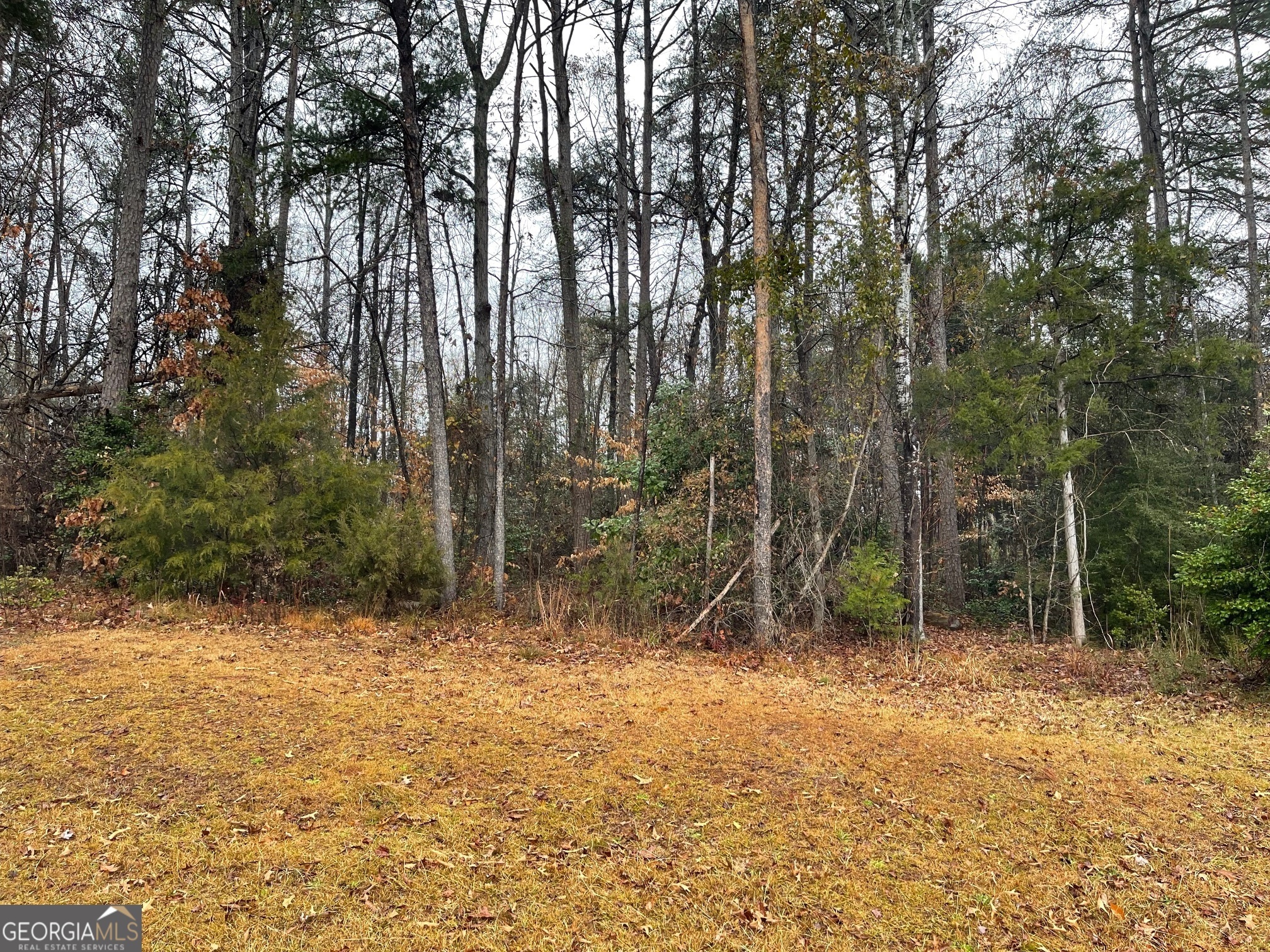 Property Photo:  Lot 1043 Chickasaw Drive  SC 29693 