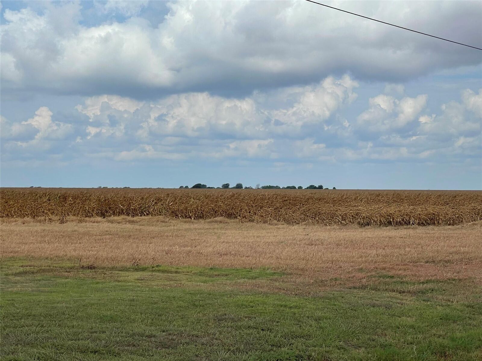 Property Photo: 0 Hwy 87 TX 77979
