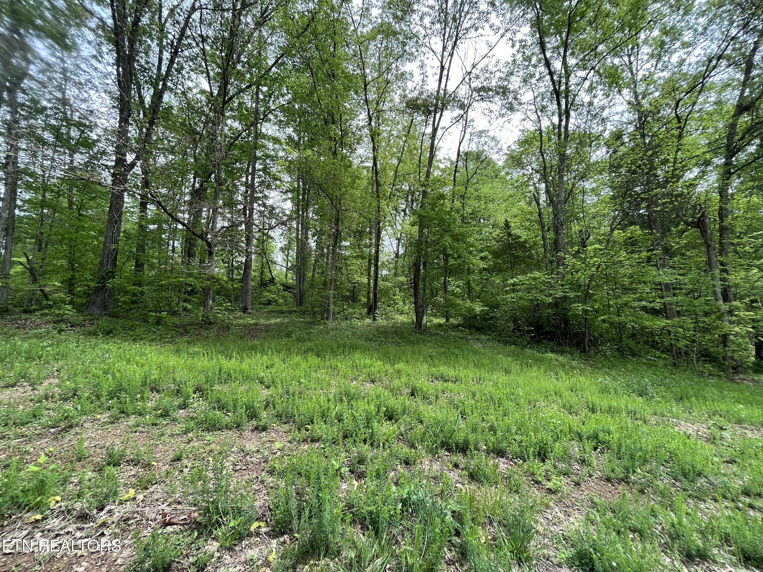 Property Photo:  123 Ingle Lane  TN 37879 