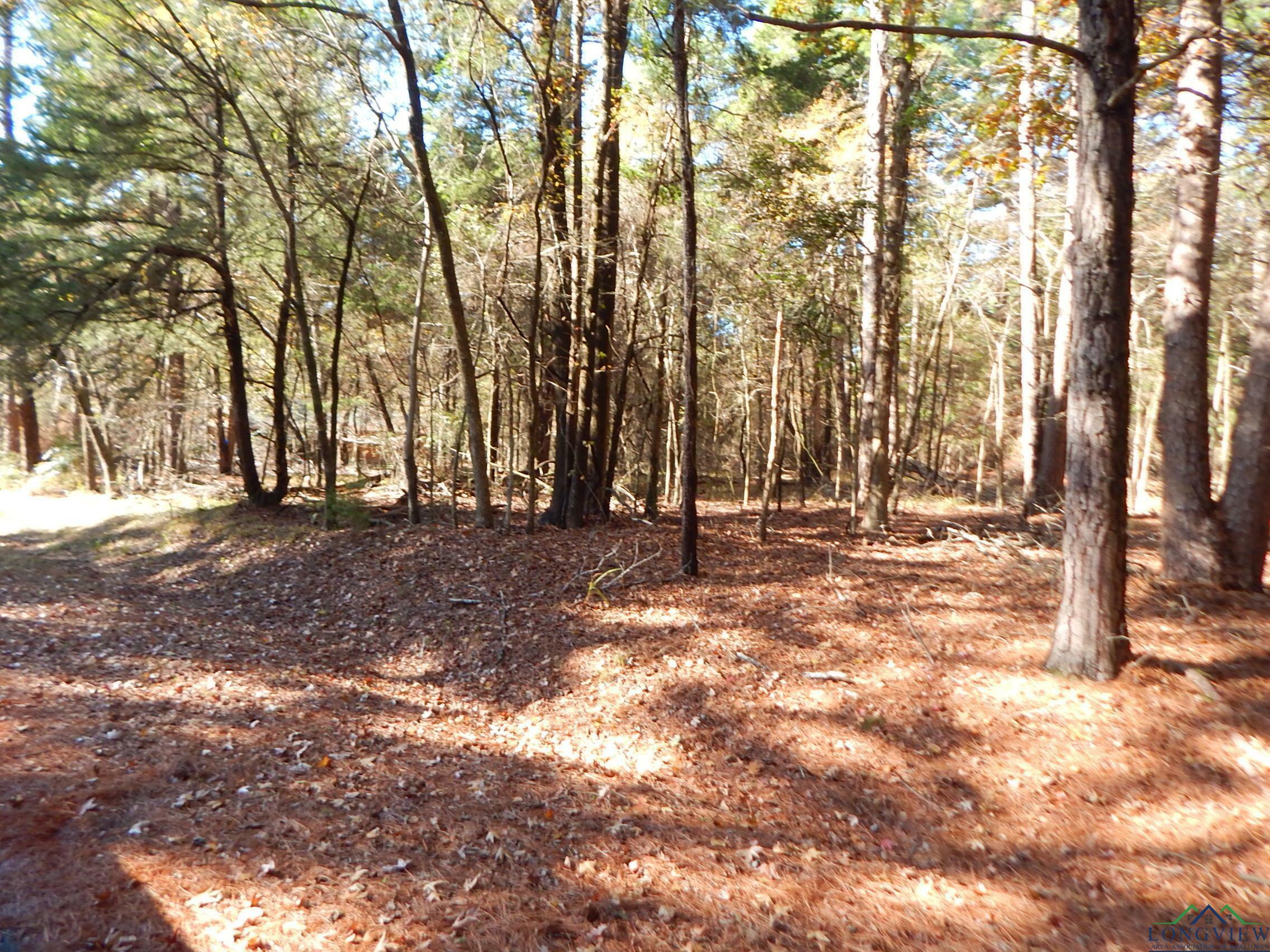 Property Photo:  450 County Road 2359  TX 75568 