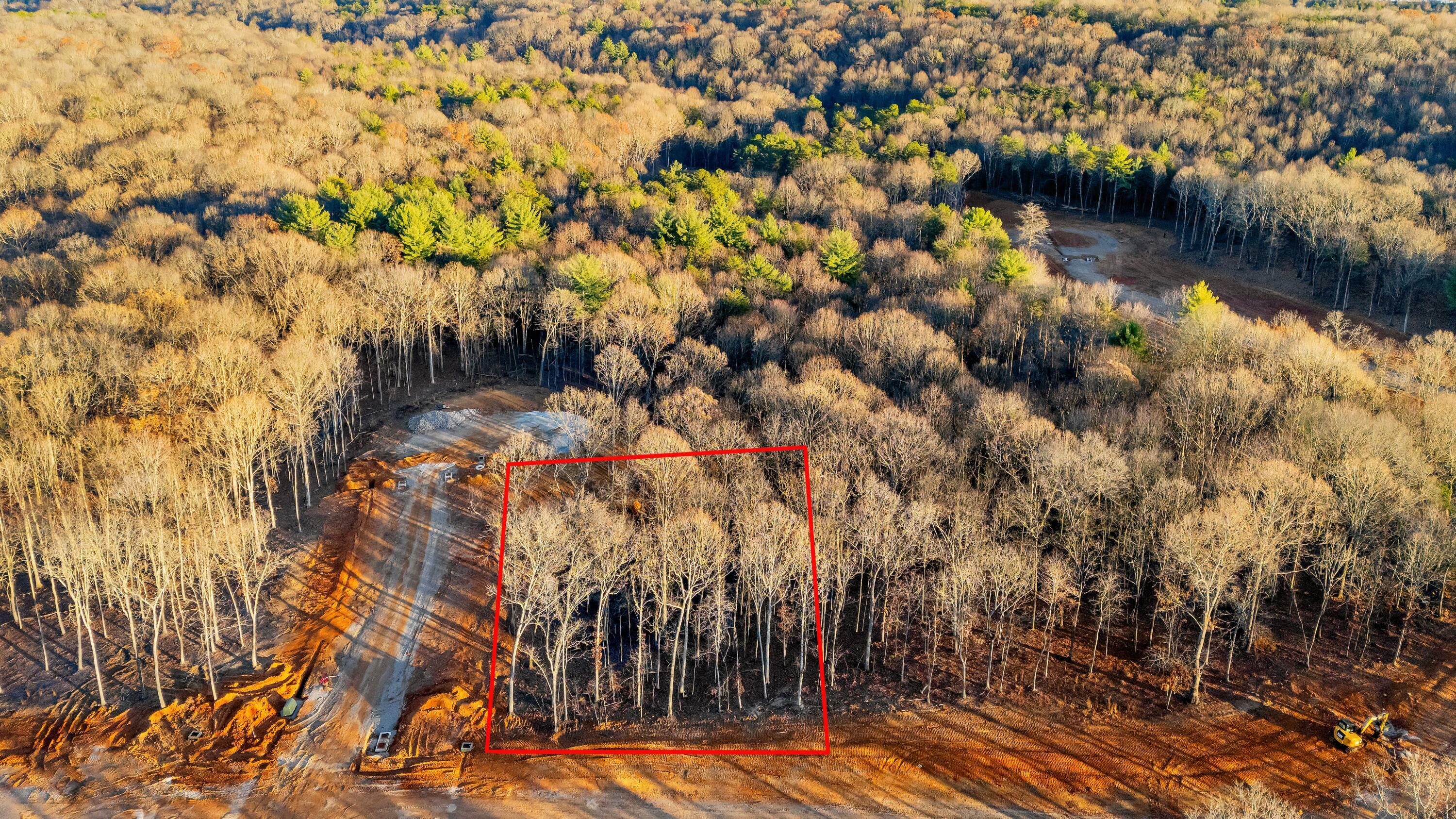 250 Hammock Court  Loudon TN 37774 photo