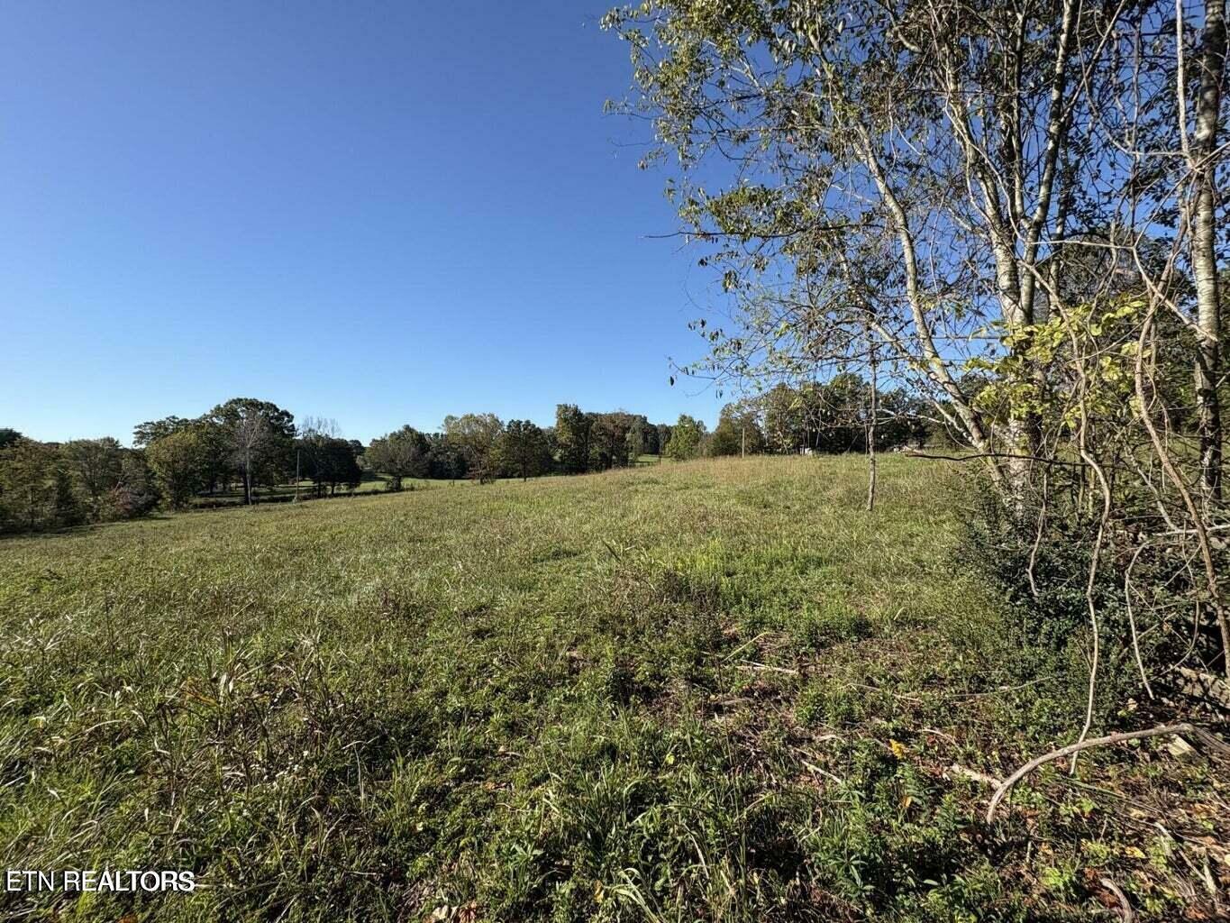 Property Photo:  160 Copenhaver Rd Rd  TN 37771 