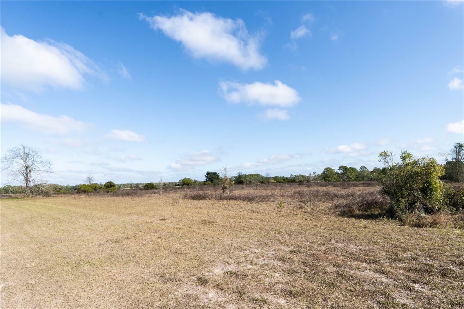 Property Photo: Jameson Farm Road FL 34711