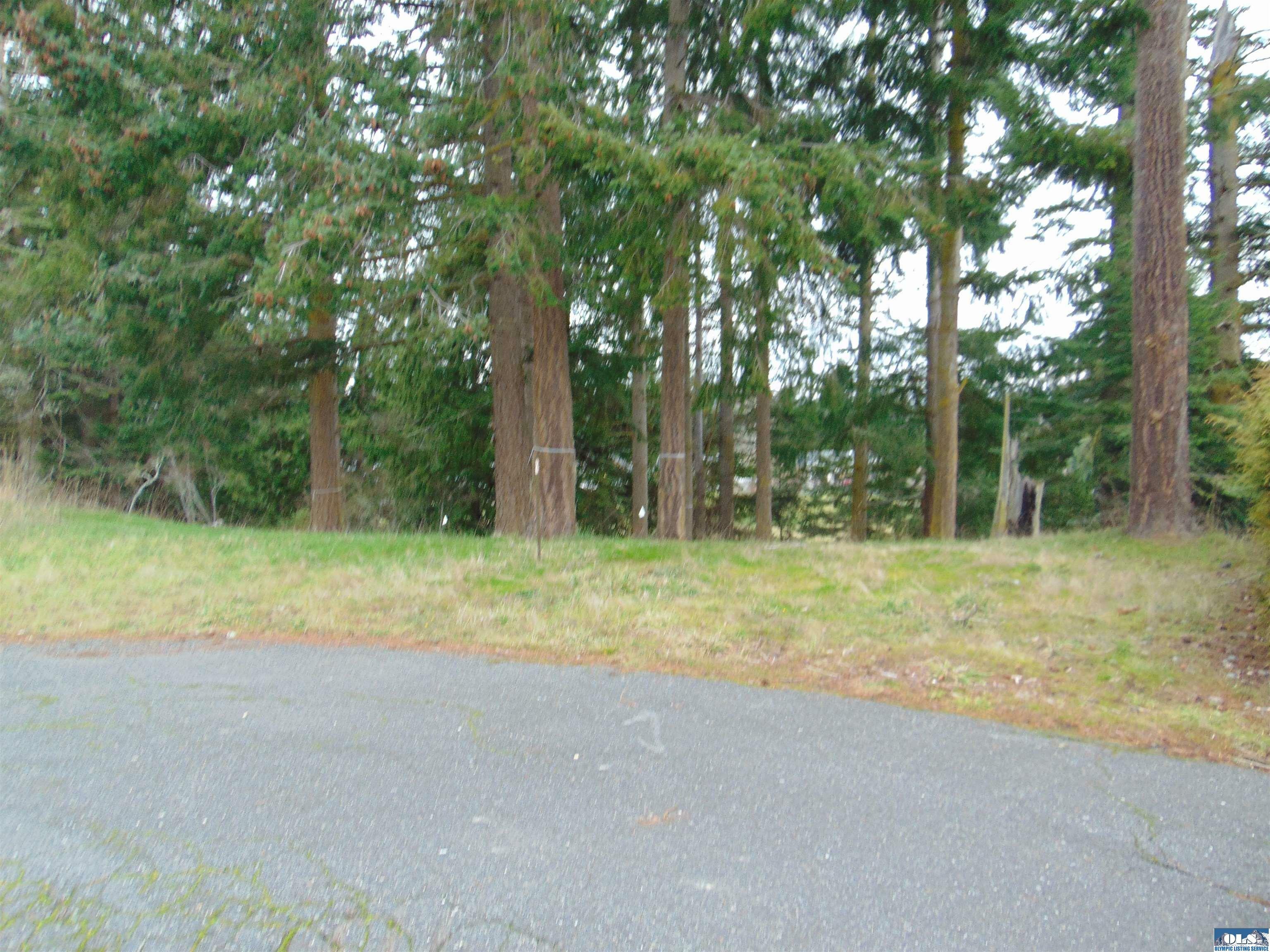 Property Photo:  Nka Ridgetop  WA 98382 