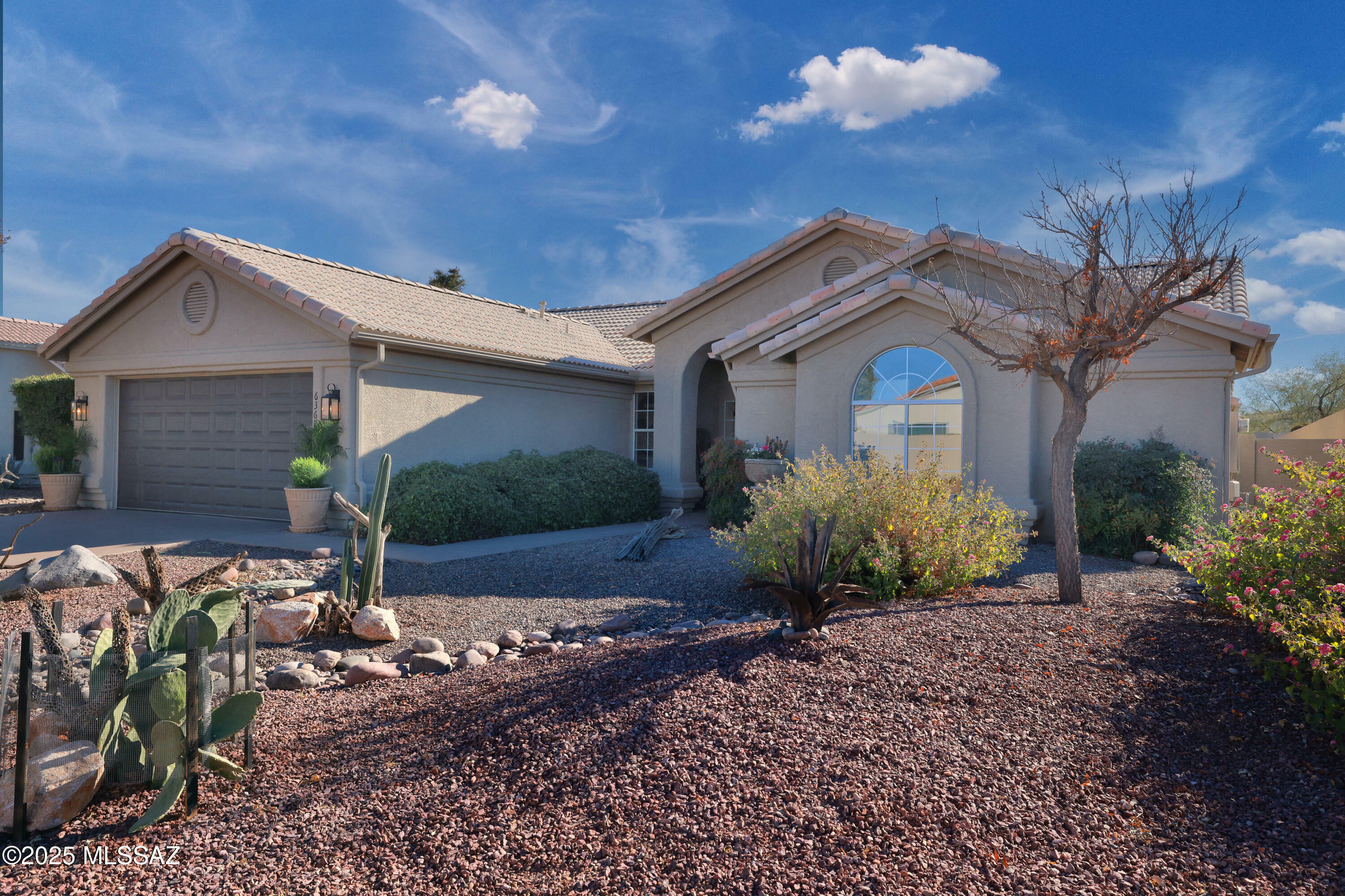 Property Photo:  63671 E Cat Claw Lane  AZ 85739 