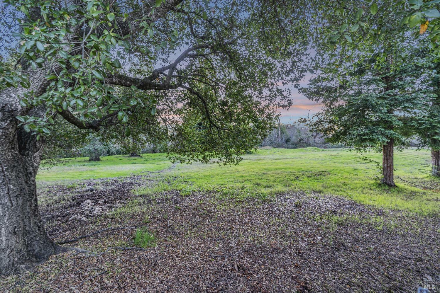 Property Photo:  342 Niblick Way  CA 95403 