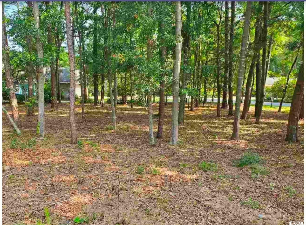 Property Photo:  0000 Live Oak Dr.  SC 29566 