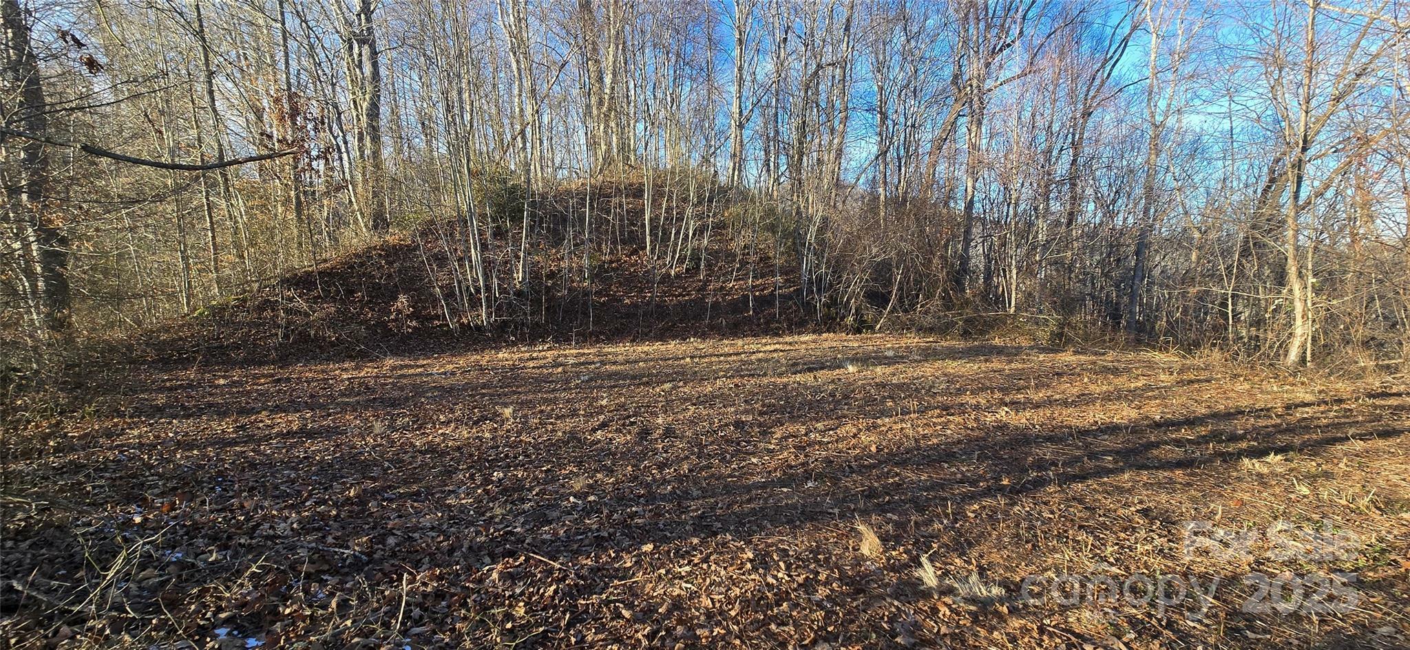 Property Photo:  Lot 23 Asa Trail  NC 28785 