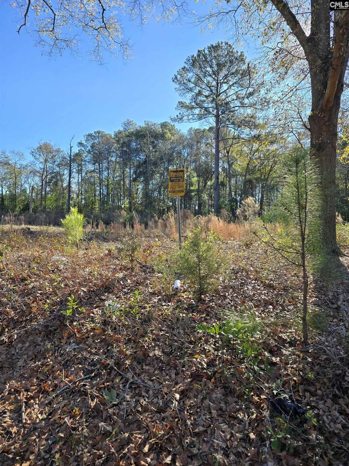 Property Photo:  Lot 7 &Amp 8 Popular  SC 29033 