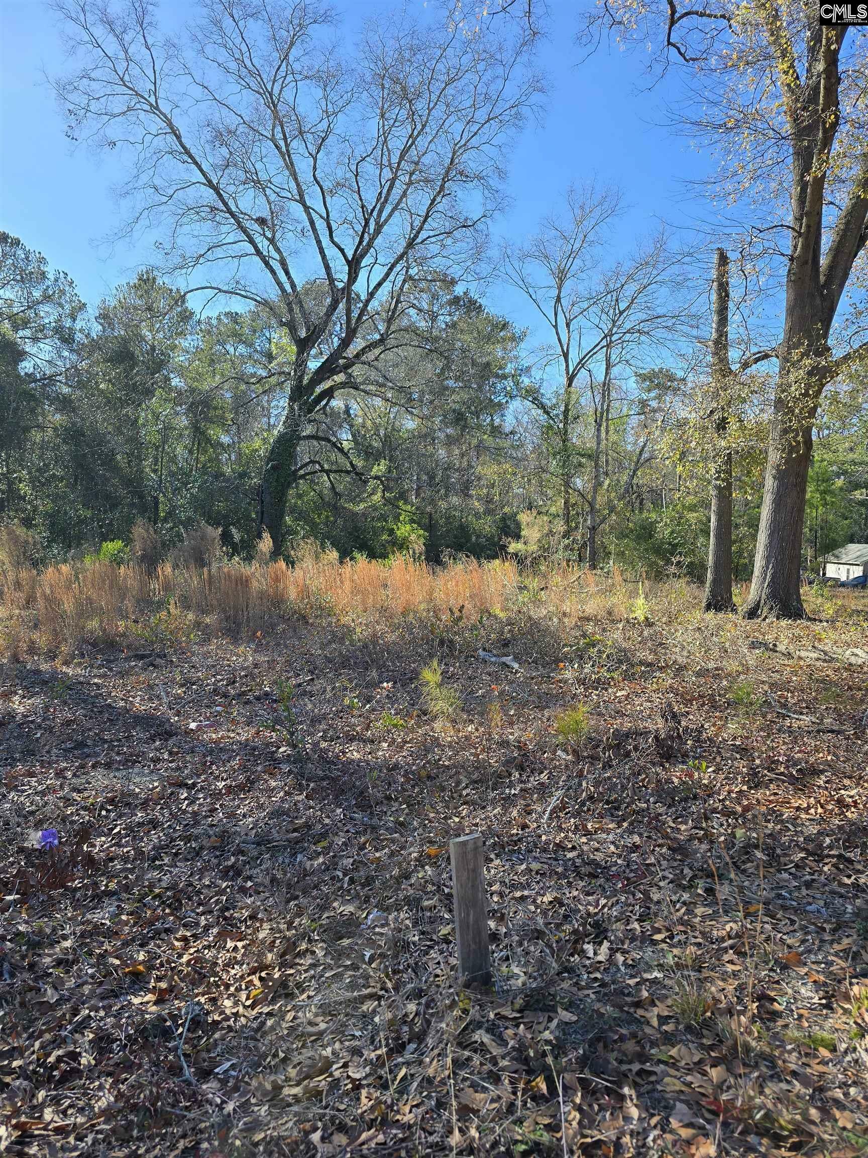 Property Photo:  0 Lot 7 Popular  SC 29033 