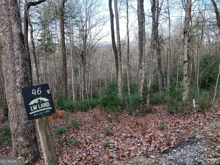 Property Photo: Lot 46 Walker Ridge Way GA 30559