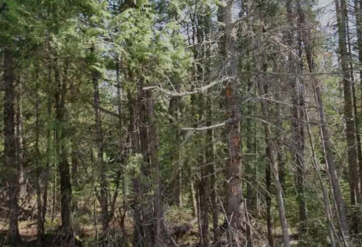 14371 Lakeshore Drive  Grand Haven MI 49417 photo