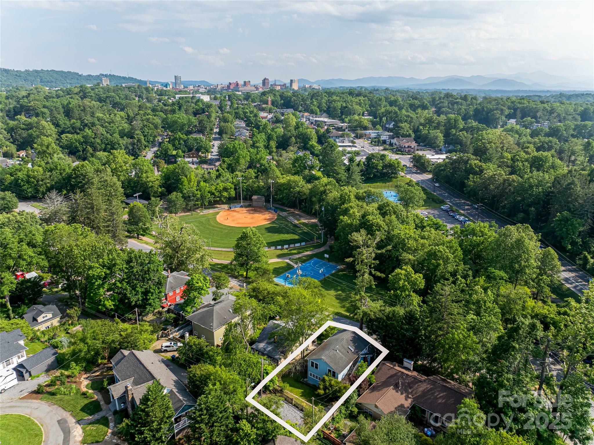 Property Photo: 273 Murdock Avenue NC 28804