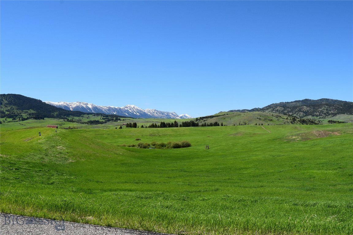 Property Photo: Tract 1A Jackson Creek Road MT 59715