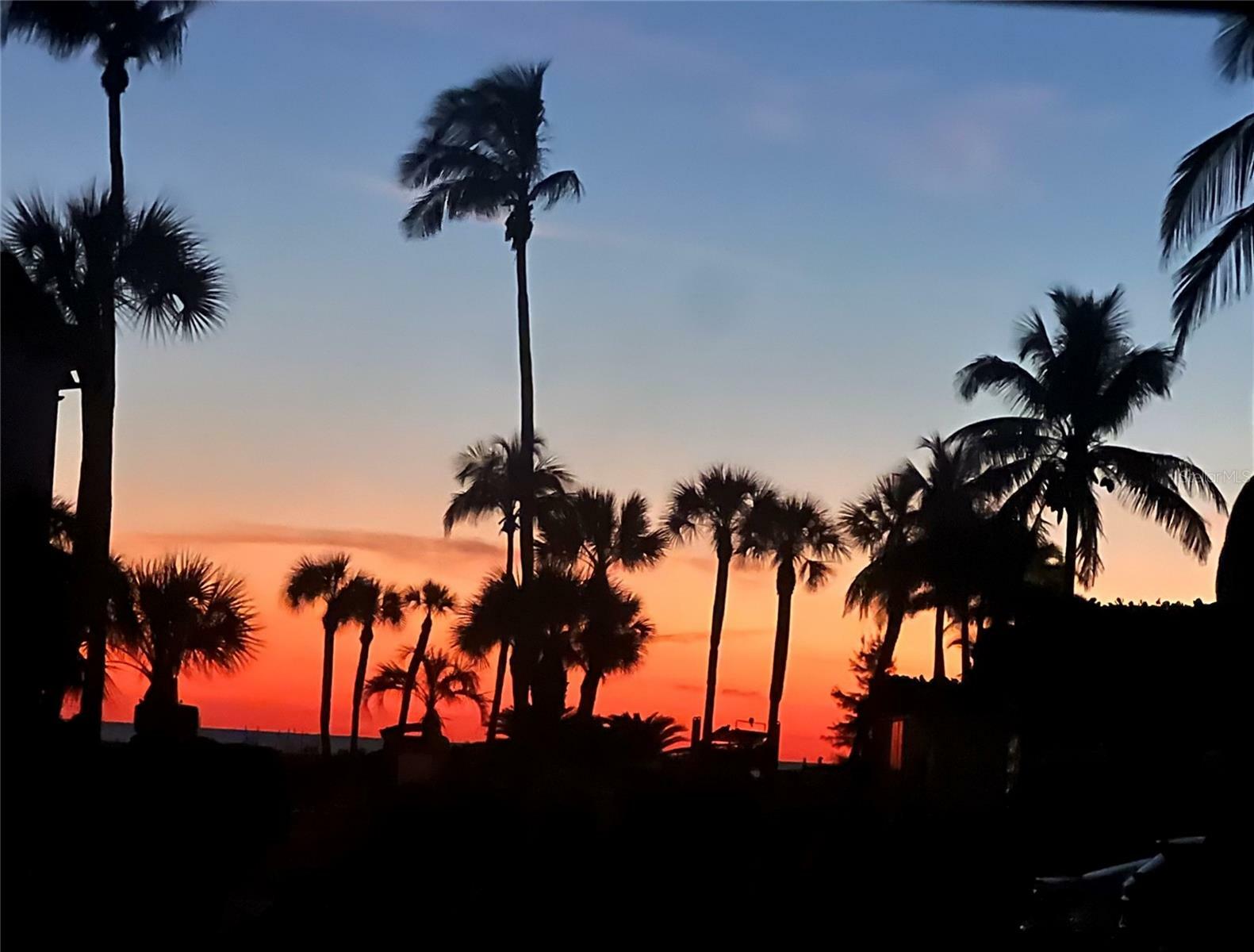 Property Photo: 2100 Benjamin Franklin Drive 108 FL 34236