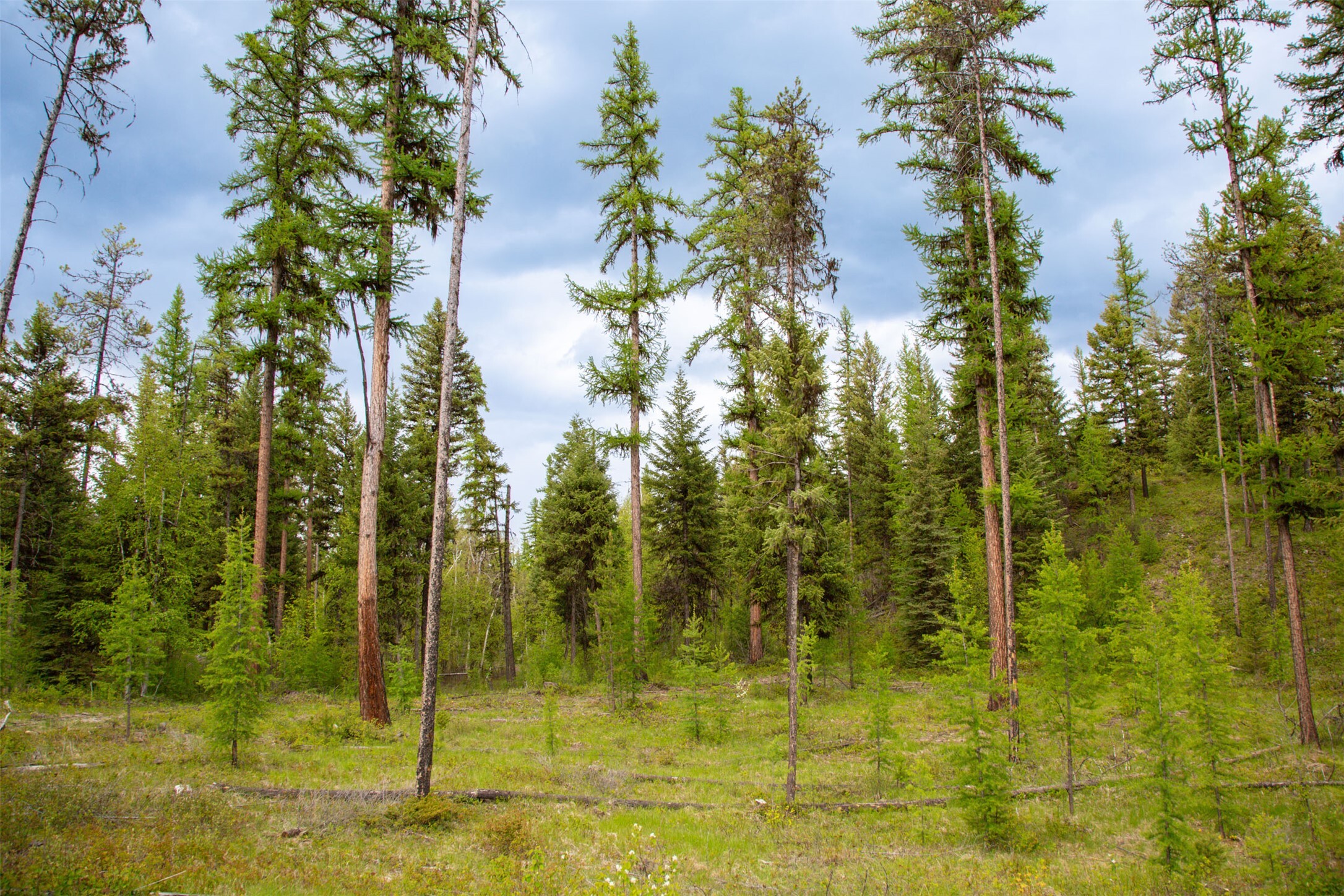 Property Photo: 2290 Mountain Home Road MT 59937