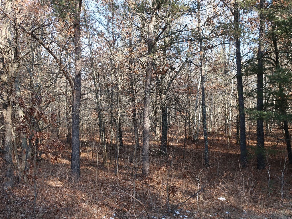 Property Photo:  7096 Oakwood Parkway  WI 54893 