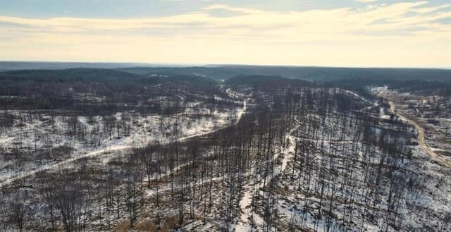 Property Photo: 00 Mount Frederic Road MI 49733