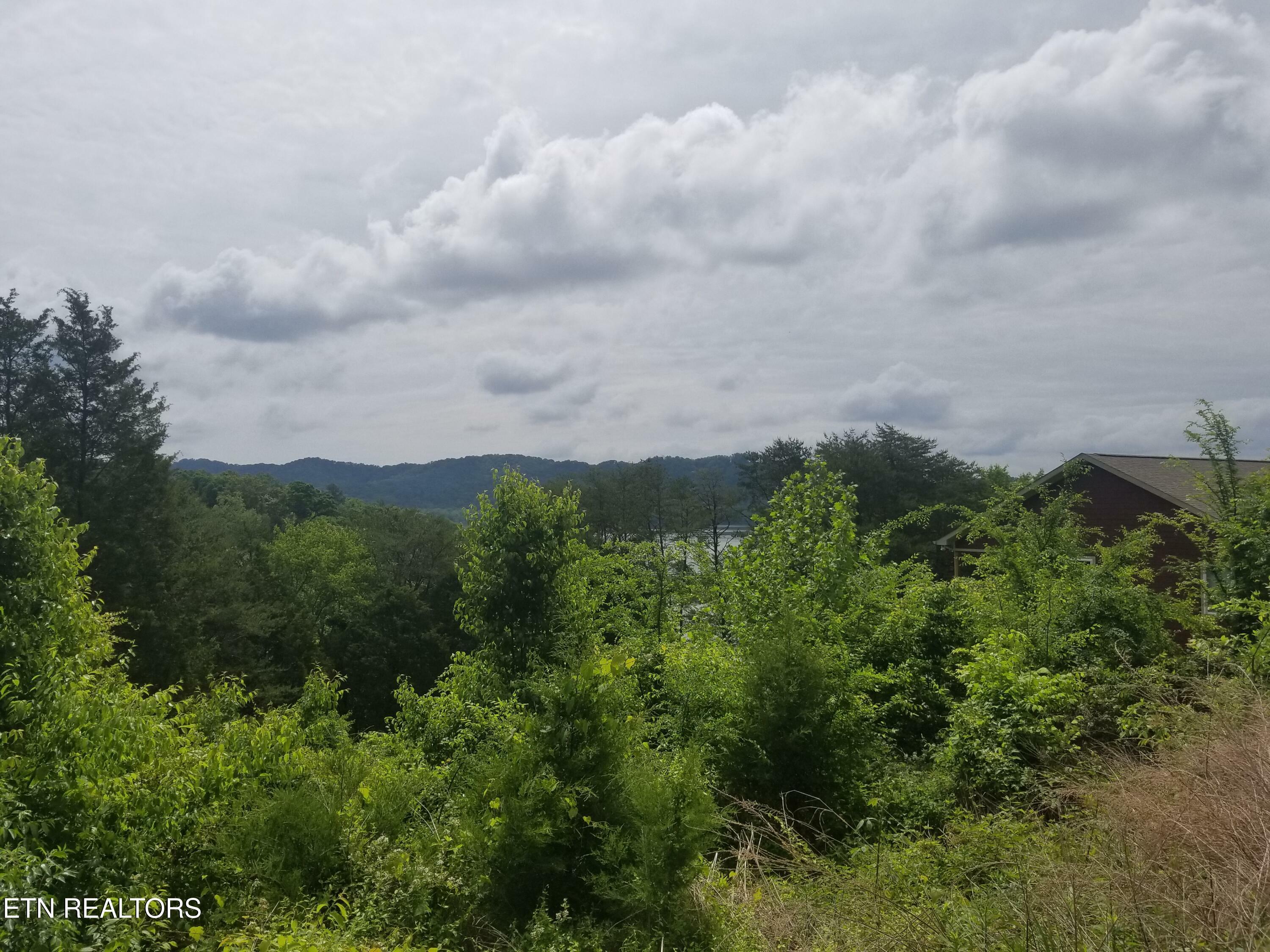 Property Photo:  Lot 61 Whispering Court  TN 37708 