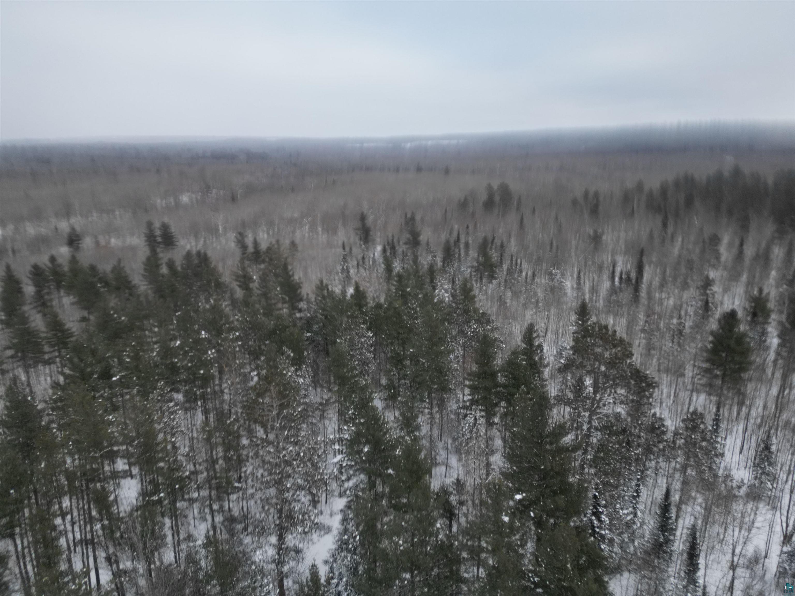 Property Photo: 000 Campbell Rd WI 54844