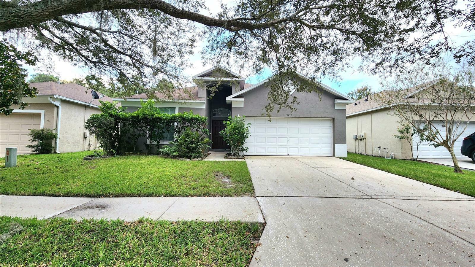 Property Photo:  19130 Wood Sage Drive  FL 33647 