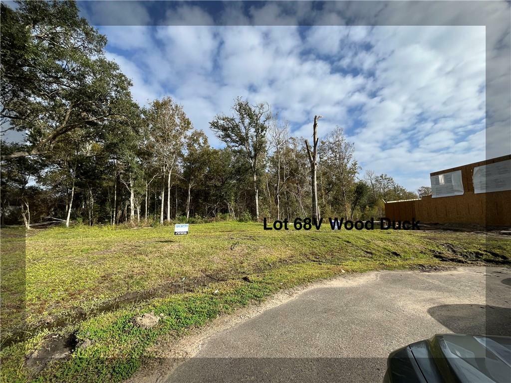 Property Photo:  130 Wood Duck Drive  LA 70037 