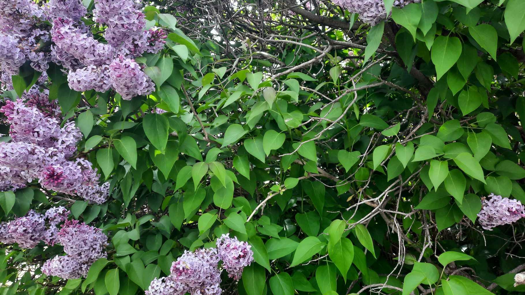 Property Photo:  304 7 Avenue SW  AB T0J 0Y6 