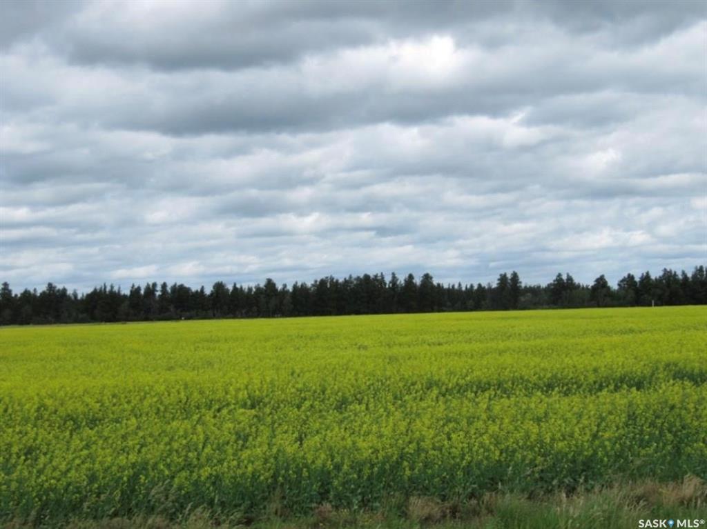Rural Address  Nipawin Rm No. 487 SK S0E 1E0 photo