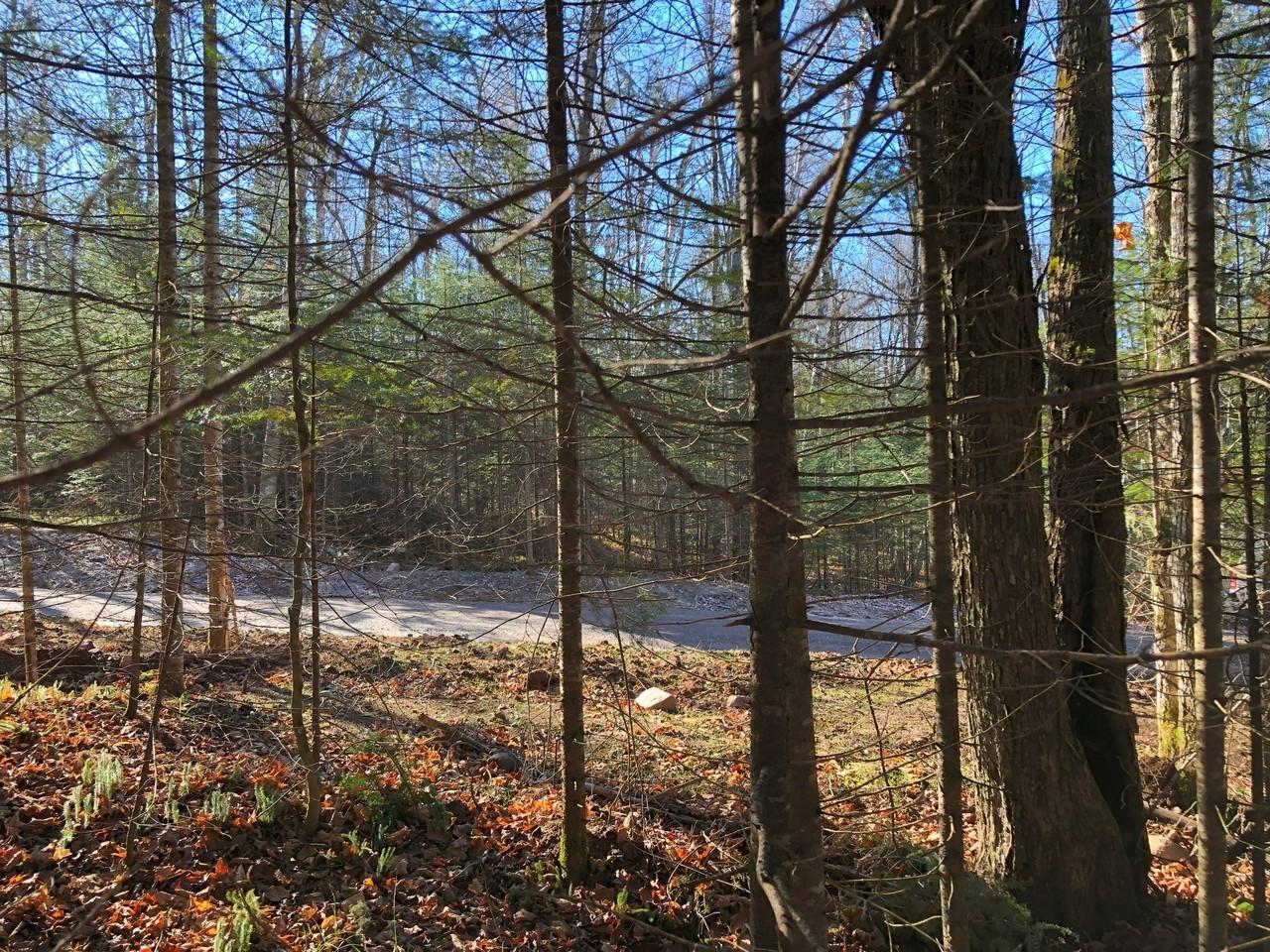 Property Photo: On East Bay Rd Lot 4 WI 54557