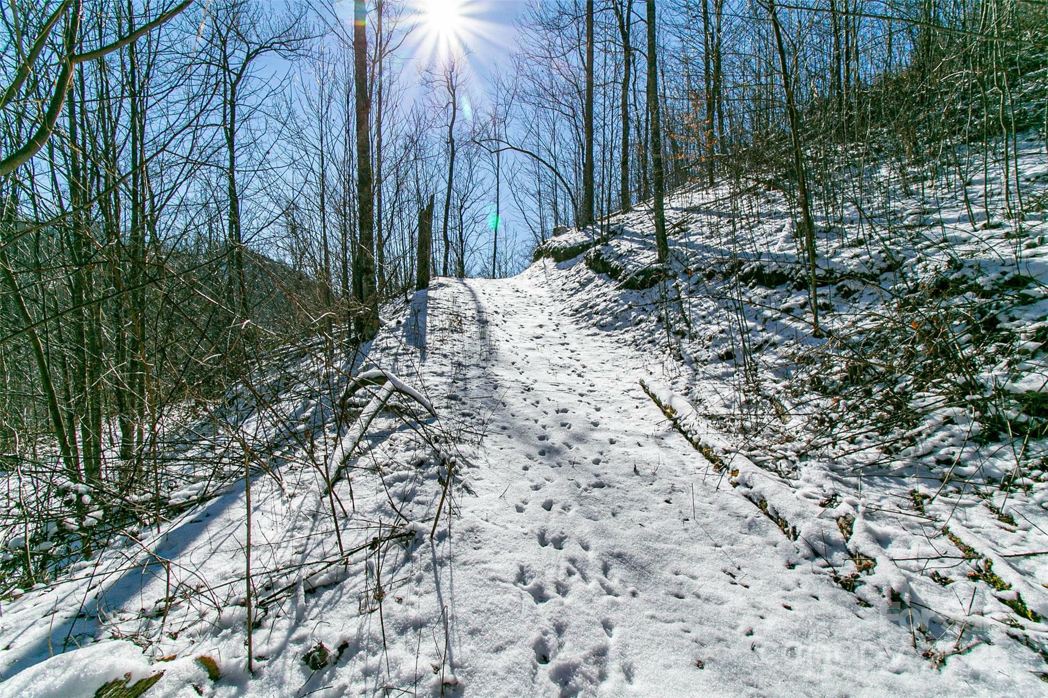 Property Photo:  1201 Simms Fork Road  NC 28714 