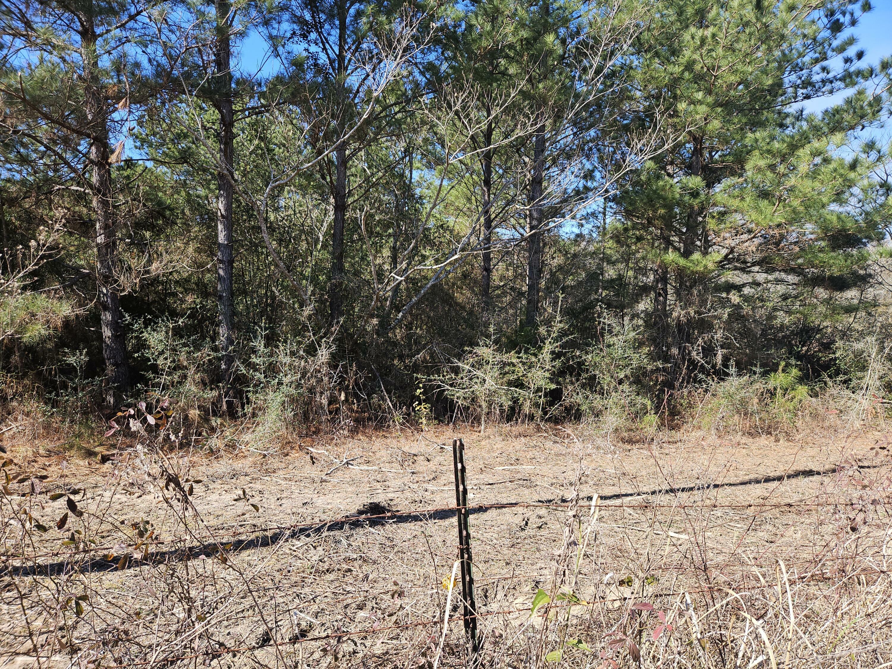 Property Photo:  5.5 Acres Prescott Road  AL 36442 