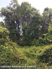 Property Photo: 535 Lakesedge Drive FL 33852