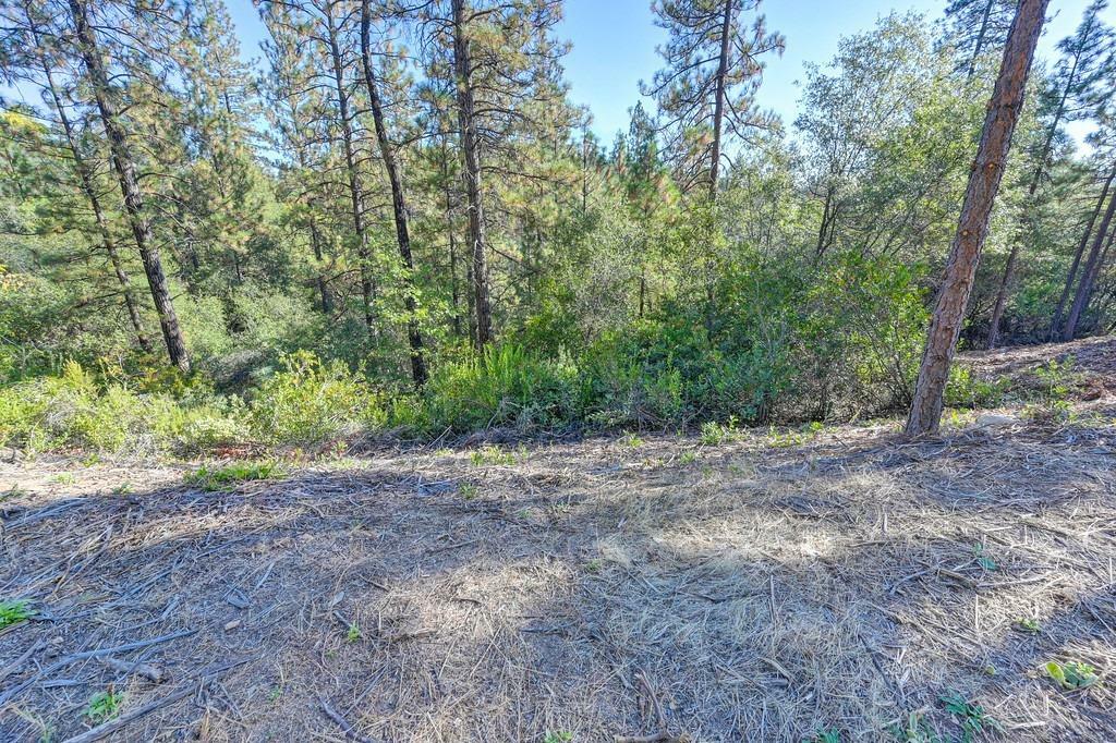 Property Photo:  726 Quartz Mountain Drive  CA 95667 