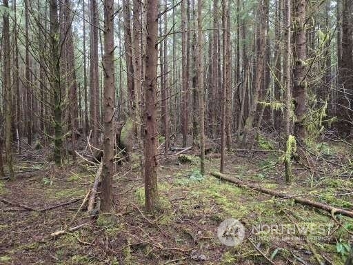 Property Photo:  0 Off Of  Plum Street  WA 98520 