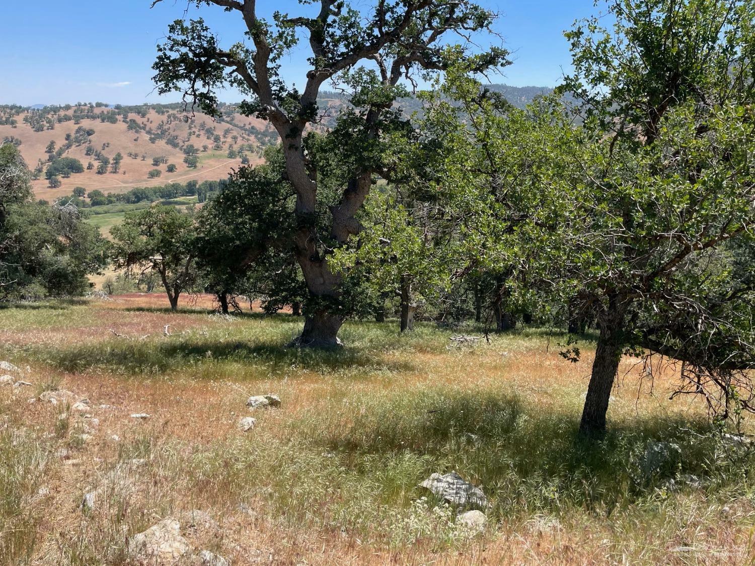 Property Photo: 17480 Saint Moritz Drive CA 93561